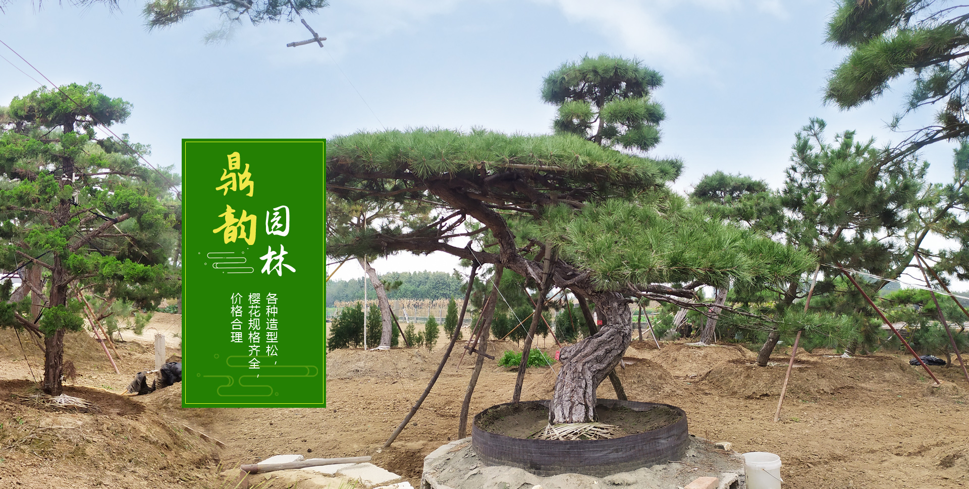 濟寧市同創工礦設備有限公司 